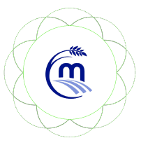 m logo